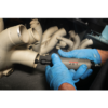JET JAT-414 1/4 STRAIGHT COMPOSITE DIE GRINDER